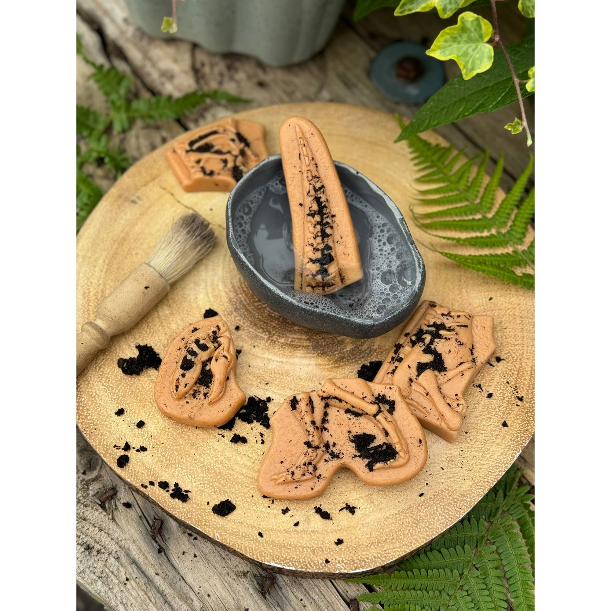 Yellow Door Dig & Discover Dinosaur Skeletons Set